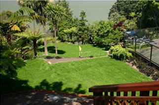 Lawn Care New Zealand